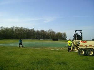 turf
