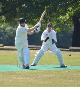 DSC_0172 edited batting