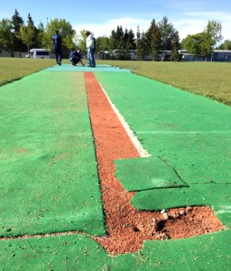 forest-lawn-cricket-pitch-vandalized