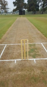 Today's pitch (from Cricket Canada on Facebook)